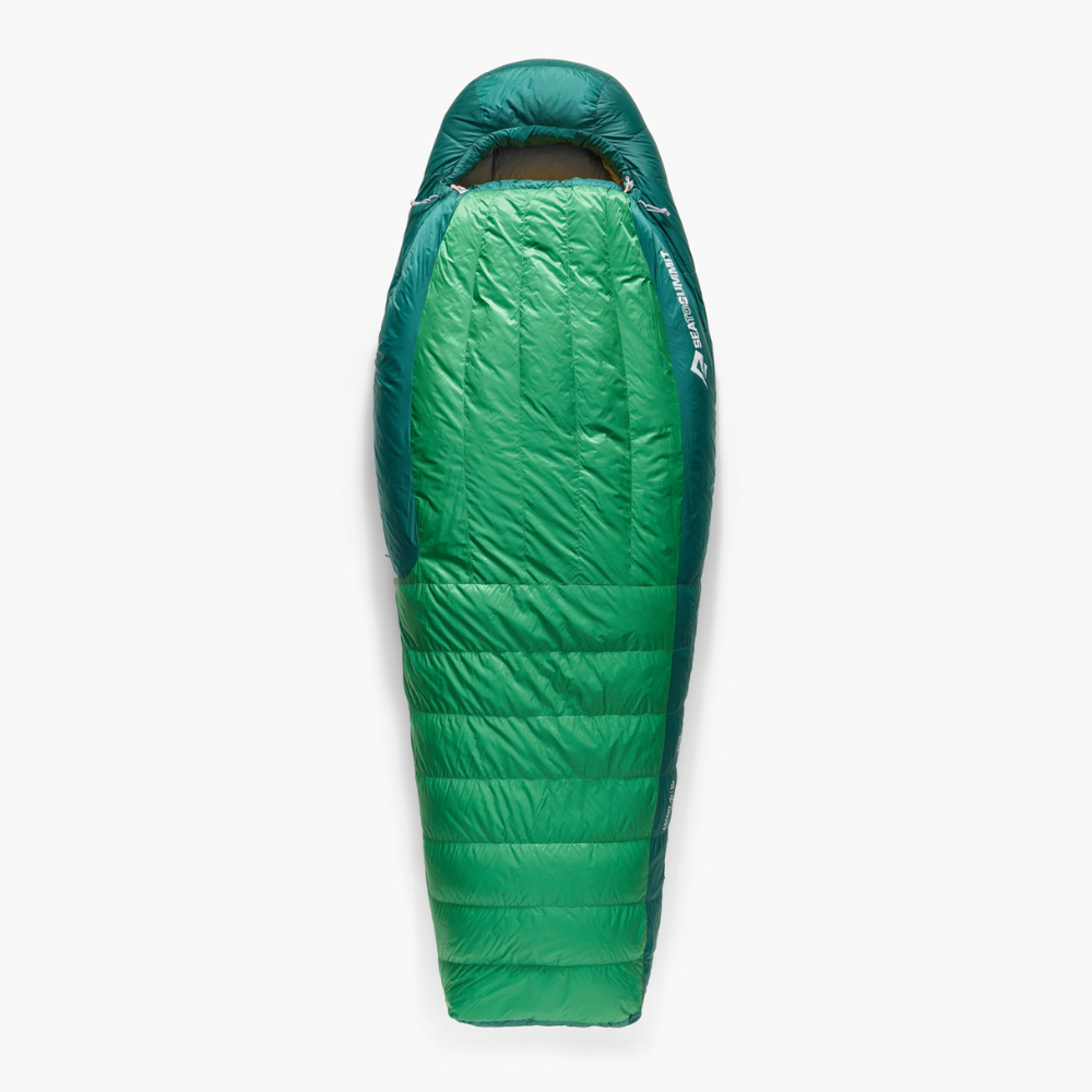 Sea to Summit Ascent -9°C Down Sleeping Bag Rain Forest Green Vintersovepose – Large Sea to Summit Ascent -9°C Down Sleeping Bag Rain Forest Green Vintersovepose – Large